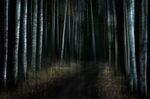 Mikko Lagerstedt XIIII - ....,.