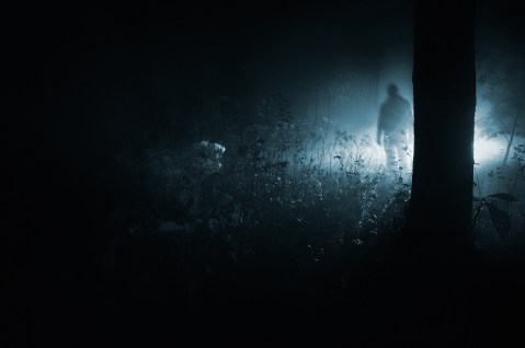 Mikko Lagerstedt XV - Figure In The Dark