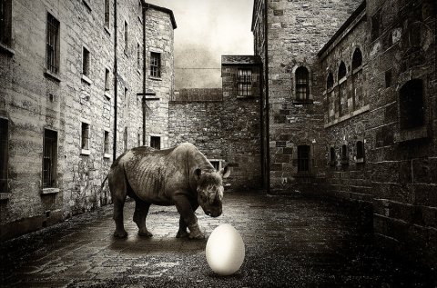 Crilleb50 XIIII - Confused