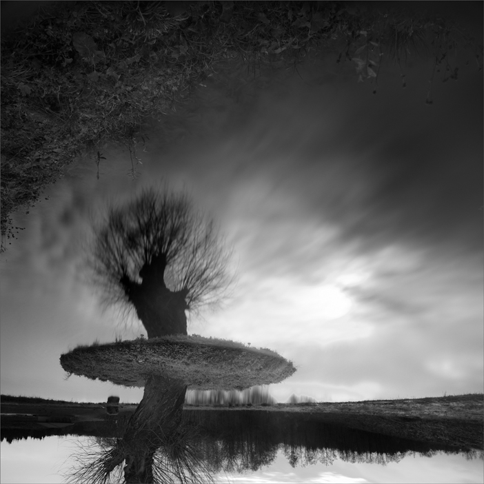 Liutawras VIIII - Ballerina's dream