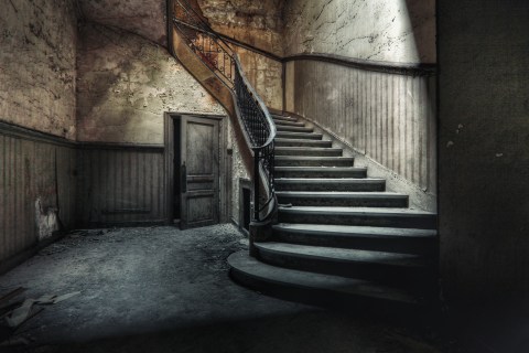 Nicole Staniewski II