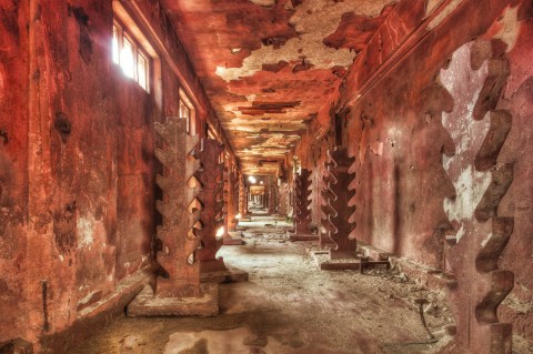 Nicole Staniewski VI