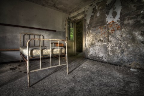 Nicole Staniewski VII