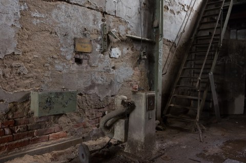 Nico Strauch XXXVIIII