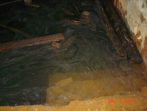 Martin Trolle Mikkelsen III