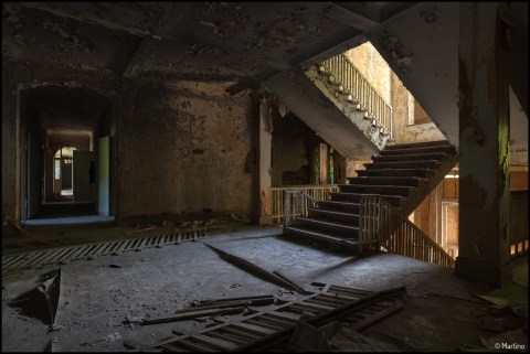 Martino Zegwaard XXVIIII