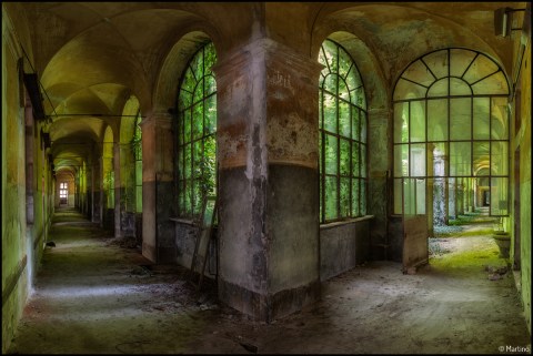 Martino Zegwaard XXXII