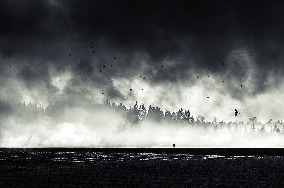 Mikko Lagerstedt XXX