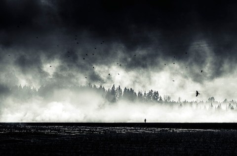 Mikko Lagerstedt XXX